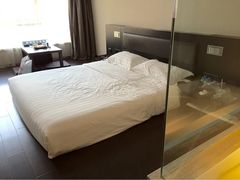 桔子水晶酒店-大连火车站中山广场桔子水晶酒店