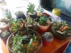 -SAH健身私教工作室(紫东店)