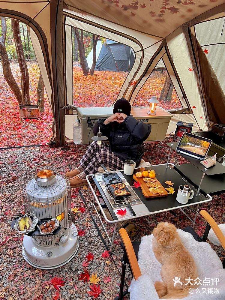 今天玩的真开心