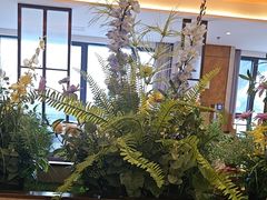 -东方早茶 海鲜•青岛菜(国信体育中心店)