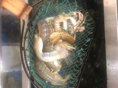 -宾朋海鲜特色美食餐厅·纯手工鲅鱼水饺(兴海路店)