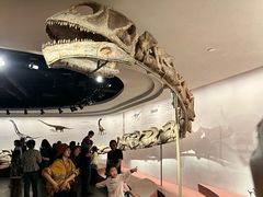 -自贡恐龙博物馆