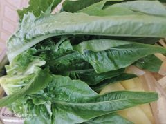 -金鼎雪山牦牛杂火锅(理县总店)