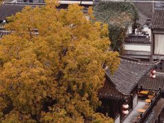 -老门东历史文化街区