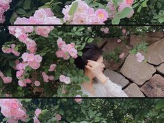 -滆湖低碳生态公园