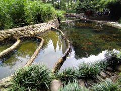 -成都市活水公园