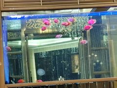 -星河湾半岛酒店-真粤中餐厅