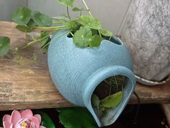 -小陆莲花蟹园农家乐(莲花岛店)