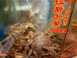 -惠食佳·宴会厅(滨江西路店)