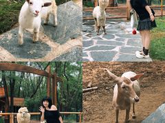 -南戴河国际娱乐中心