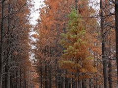 -云龙湖旅游景区