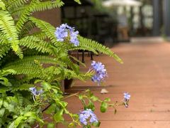 -肴约·花园式餐厅(湖里店)