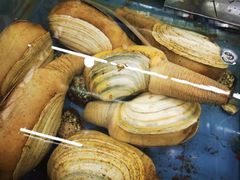-明记海鲜大排档(巽寮湾店)