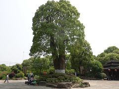 -韩湘水博园