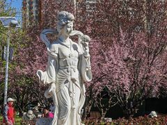 -丰台花园