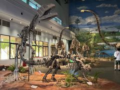 -自贡恐龙博物馆