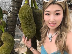 -海南槟榔谷黎苗文化旅游区