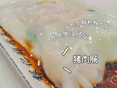 猪肉肠-银记肠粉(文昌北路店)