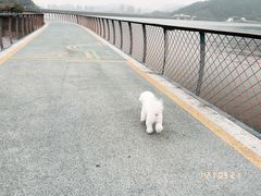 -南昌青山湖风景区