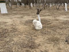 -大兴滨河森林公园