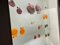 -青岛贝壳博物馆