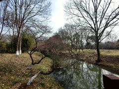 -西溪国家湿地公园