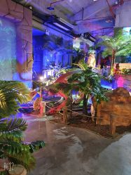 -恐龙探索乐园(磁器口店)