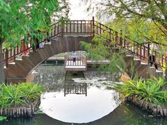 -五缘湾湿地公园