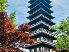 -宜兴龙背山森林公园