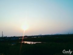 android_upload_pic-海鸥岛