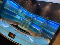 -眉州东坡(北苑华贸店)