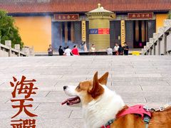 -海天禅寺