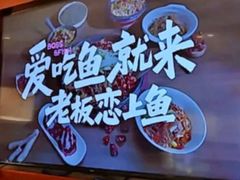 -老板恋上鱼(恒隆广场店)