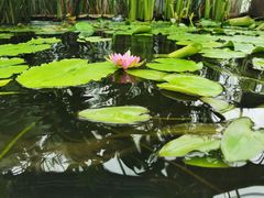 -国家植物园南园