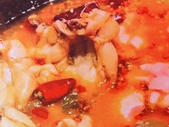 -老天桥蛙炉火锅(姑苏总店)