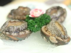 七头鲍鱼-甘尼仕印度餐厅爵士酒吧(阳春巷店)
