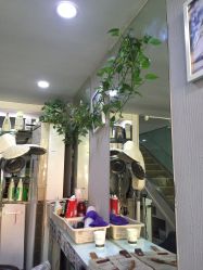 -SH名剪坊.造型设计