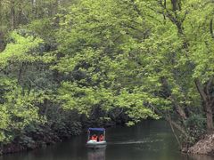 -上海滨江森林公园