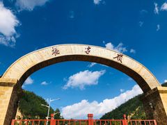 -延安杨家岭革命旧址