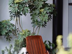 -Eu2+ coffee(上大路店)