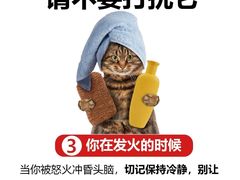 -美迦爱动物医院·夜诊(朝阳路诊疗中心)