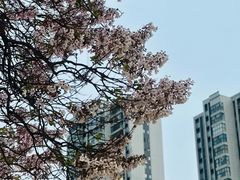 -成都市活水公园