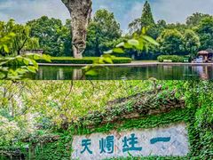 -鲁镇