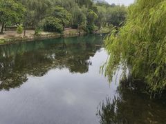-花溪公园