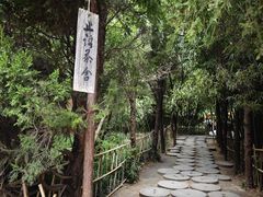 -洛阳白马寺