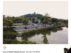 -王借岗森林公园