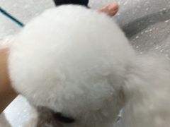-心仪动物医院·牙专科·肿瘤·心脏科(西客站院)