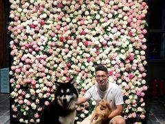 -百好乐宠物友好餐厅(朝外大街店)