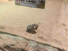 -正佳雨林生态植物园