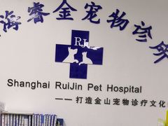 -睿金宠物医院·CT·肿瘤·骨外科
